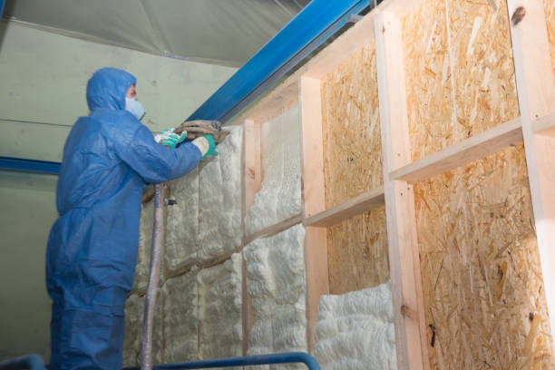 Best Crawl Space Insulation  in Calcutta, OH